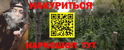 крисы Апшеронск